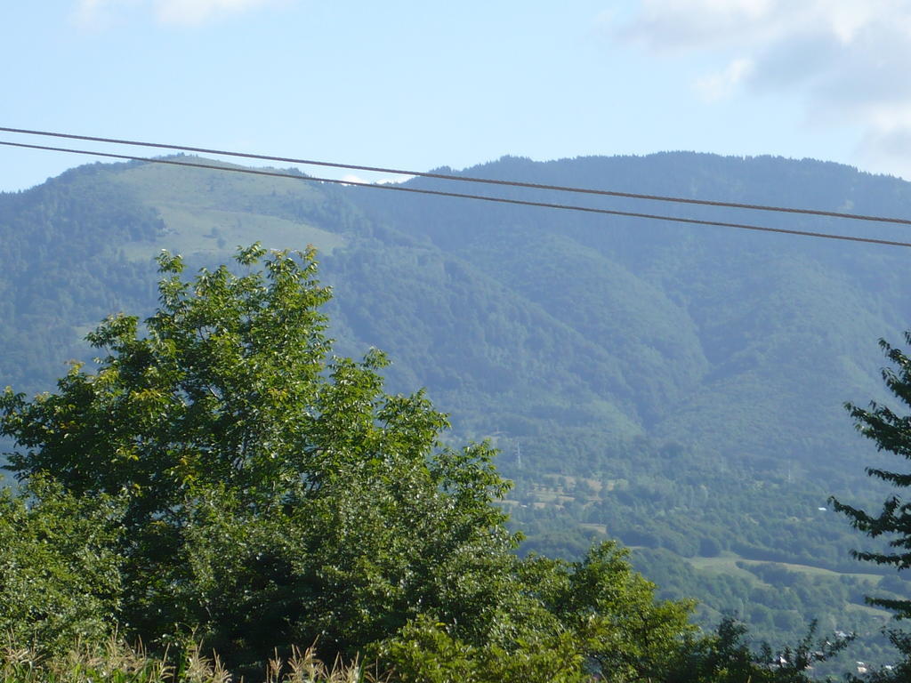 Pensiunea Tiuta Hotel Corbeni Bagian luar foto