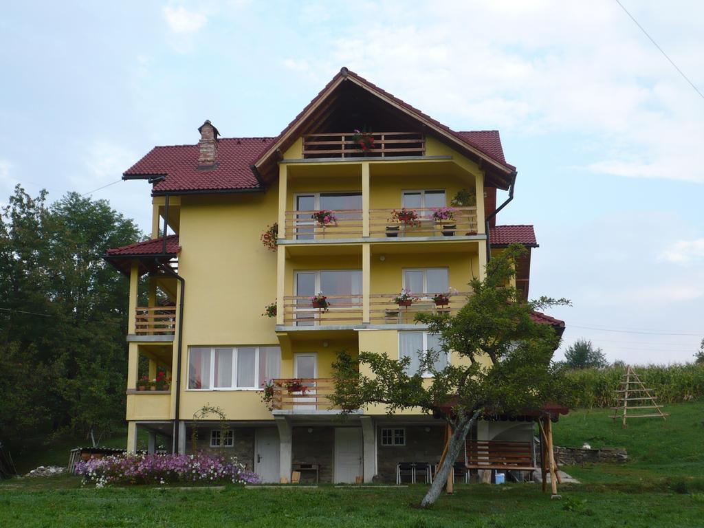 Pensiunea Tiuta Hotel Corbeni Bagian luar foto